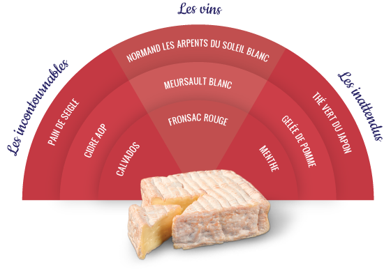 Roue des associations