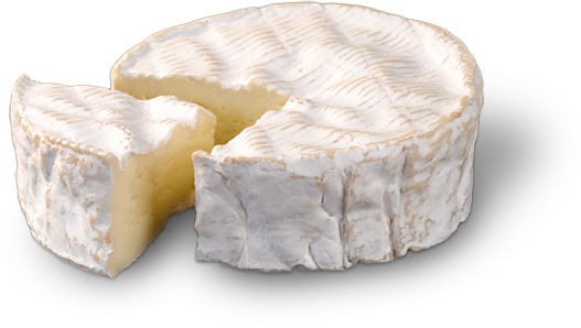 H81 FROMAGE CAMEMBERT LE GAULOIS 
