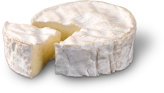 camembert