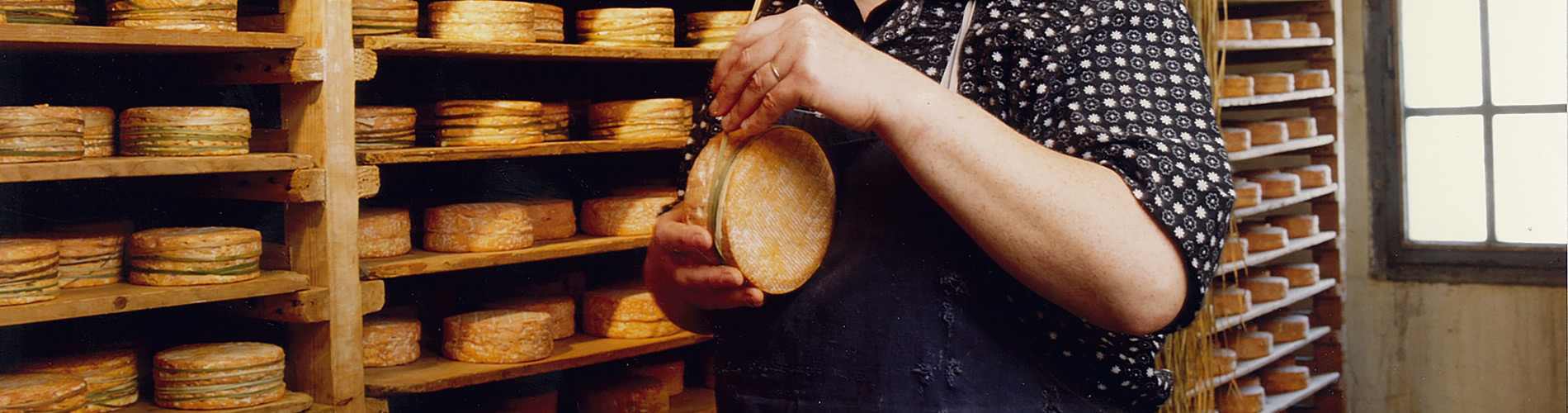 Dirigez Le Récipient Blanc Pour Le Beurre, Le Fromage Fondu Ou La Diffusion  De Margarine Illustration de Vecteur - Illustration du laiterie, emballage:  89882663