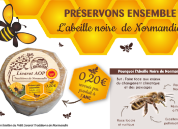 Partenariat Abeille noire de Normandie